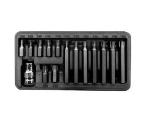 PROLINE ZESTAW KOŃCÓWEK BITÓW TORX SECURITY 3/8" 15SZT.  10745