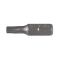 koncowki-torx-z-otworem-security-1-4-25-mm_10672_01.jpg