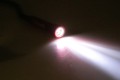 5C1A6094.jpg