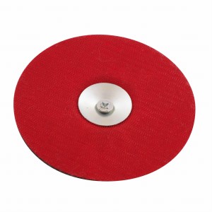 PROLINE DYSK-PRZYSTAWKA DO KRĄŻKÓW ŚCIERNYCH 125 MM 27035
