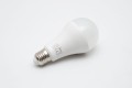 5C1A9275.jpg