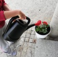 PROSPELPLAST KONEWKA AGRI CZARNA - 10L