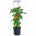 DONICZKA DO UPRAWY POMIDORÓW NA POMIDORY 28L /40CM DUŻA