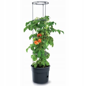 DONICZKA DO UPRAWY POMIDORÓW NA POMIDORY 12L / 30CM
