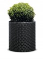 KETER DONICZKA CYLINDER PLANTER GRAFIT L