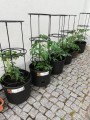 DONICZKA DO UPRAWY POMIDORÓW NA POMIDORY 28L /40CM DUŻA