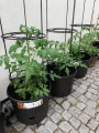DONICZKA DO UPRAWY POMIDORÓW NA POMIDORY 28L /40CM DUŻA