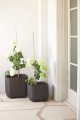 KETER DONICZKA DONICA CUBE PLANTER M BRĄZ WHISKEY