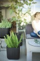KETER DONICZKA DONICA CUBE PLANTER L BRĄZ WHISKEY
