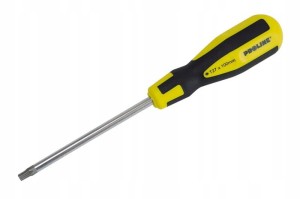 WKRĘTAK TORX T15x100