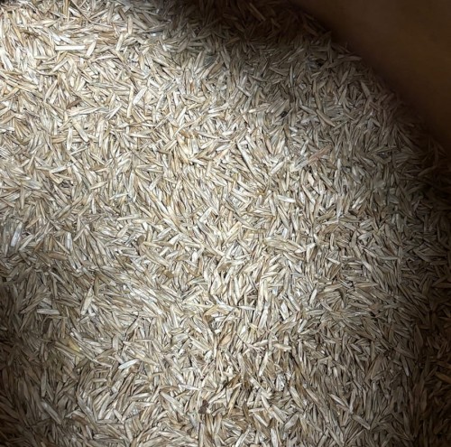 TRAWA NASIONA TRAWY 1 KG