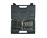 PROLINE ZESTAW KOŃCÓWEK BITÓW RIBE TORX 42EL.  10747