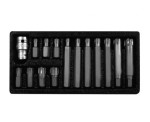 PROLINE ZESTAW KOŃCÓWEK BITÓW RIBE 3/8" 15SZT.  10746