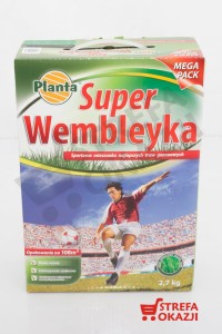 PLANTA TRAWA SUPER WEMBLEYKA 2,7 KG = 108M2